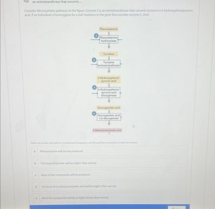 An Aminotransferase That Converts Consider The 