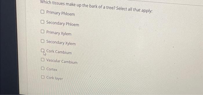 Which tissues make up the bark of a tree? Select all that apply:
Primary Phloem
Secondary Phloem
Primary Xylem
Secondary Xyle