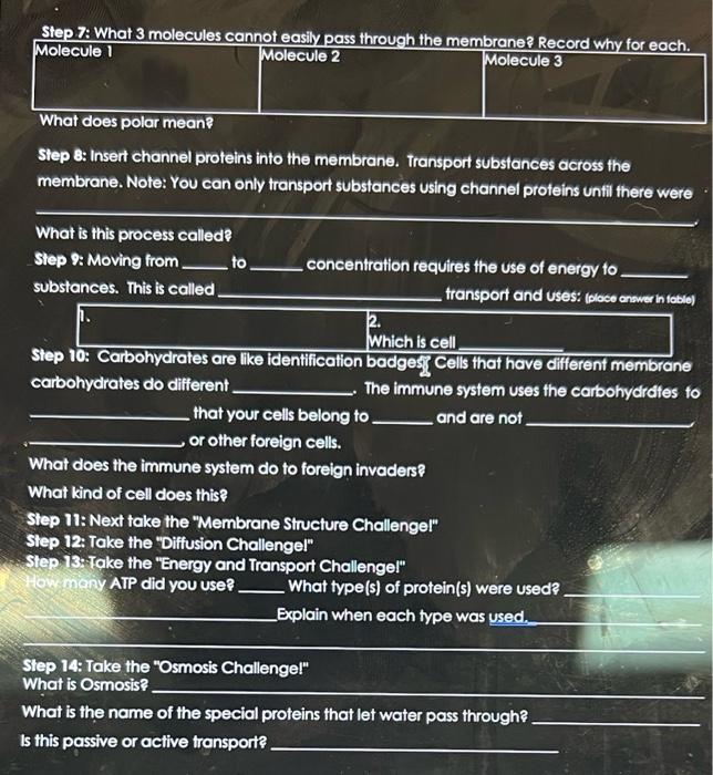 Solved Step 7: What 3 molecules cannot easily pass through | Chegg.com