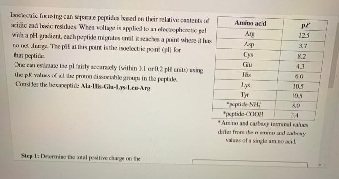 Solved PK Isoelectric focusing can separate peptides based | Chegg.com