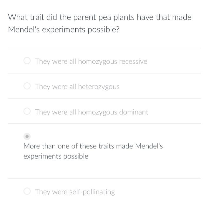 conducted experiments on heredity in pea plants called