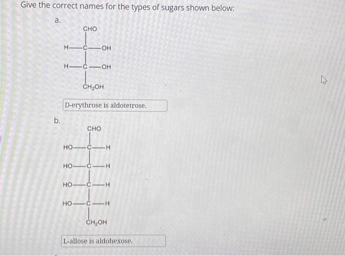 Solved Give The Correct Names For The Types Of Sugars Shown Chegg Com