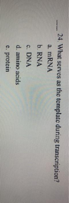 Solved 13. Which statement best describes a DNA mutation? a. | Chegg.com