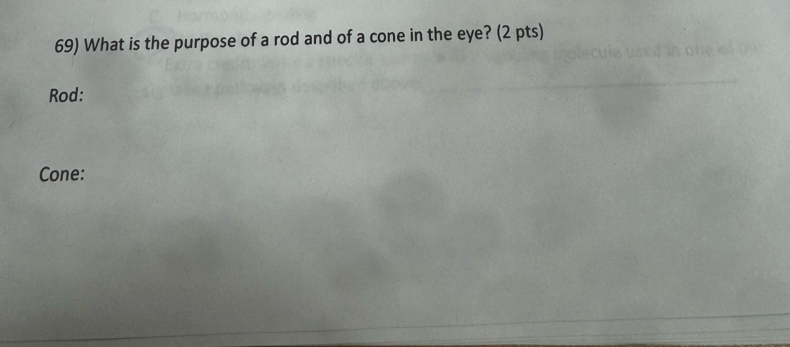 Solved What is the purpose of a rod and of a cone in the