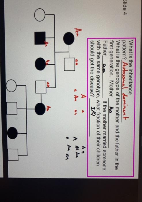Solved Slide 4 What is the inheritance pattern? Autosomal | Chegg.com
