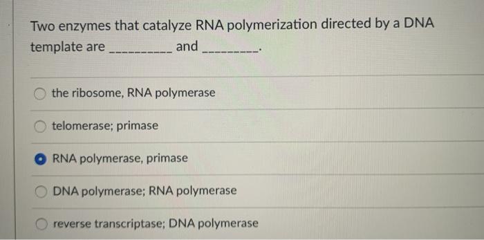 are enzymes that catalyze the synthesis of rna using a dna template