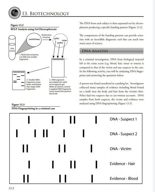 Solved Cell Dna - Type 1 - White Strip 1 Strip 2 Strip 3 