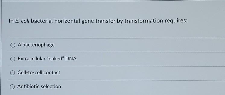 In E. coli bacteria, horizontal gene transfer by transformation requires: A bacteriophage Extracellular naked DNA O Cell-to