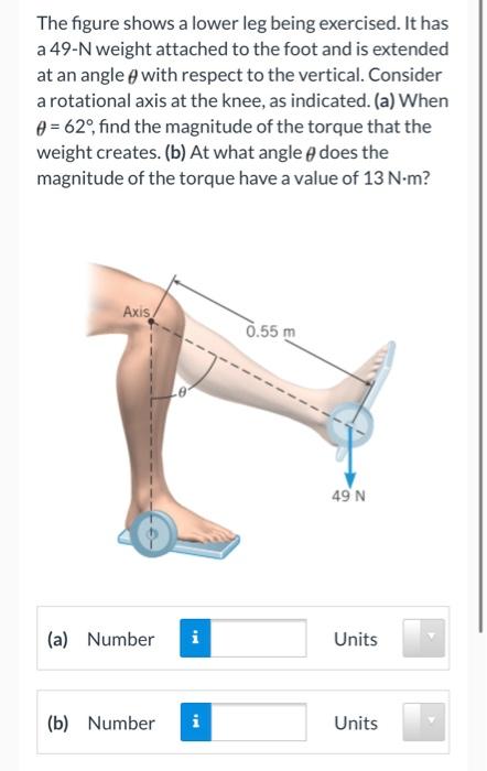 Solved The figure shows a lower leg being exercised. It has | Chegg.com