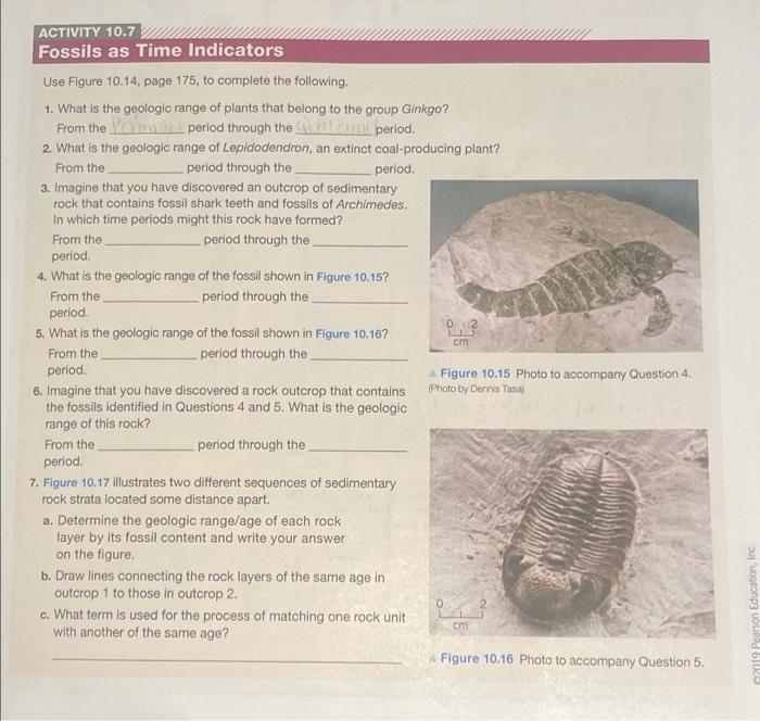 Solved 10.7 Fossils as Time Indicators Explain how fossils