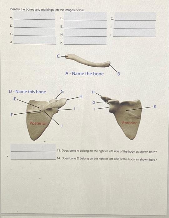 student submitted image, transcription available below