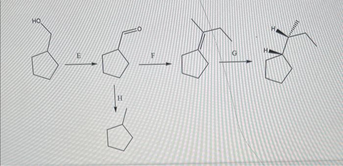Solved 1) Use the space provided to write or draw the | Chegg.com