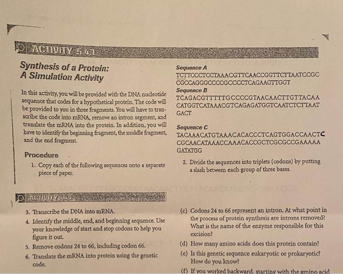 Solved need help with the procedure steps :1. Copy each of | Chegg.com