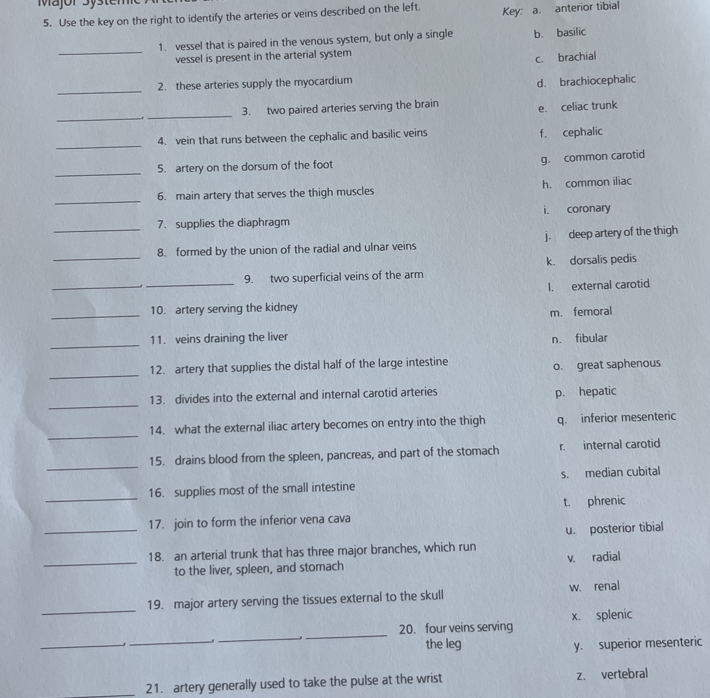 Solved Use the key on the right to identify the arteries or