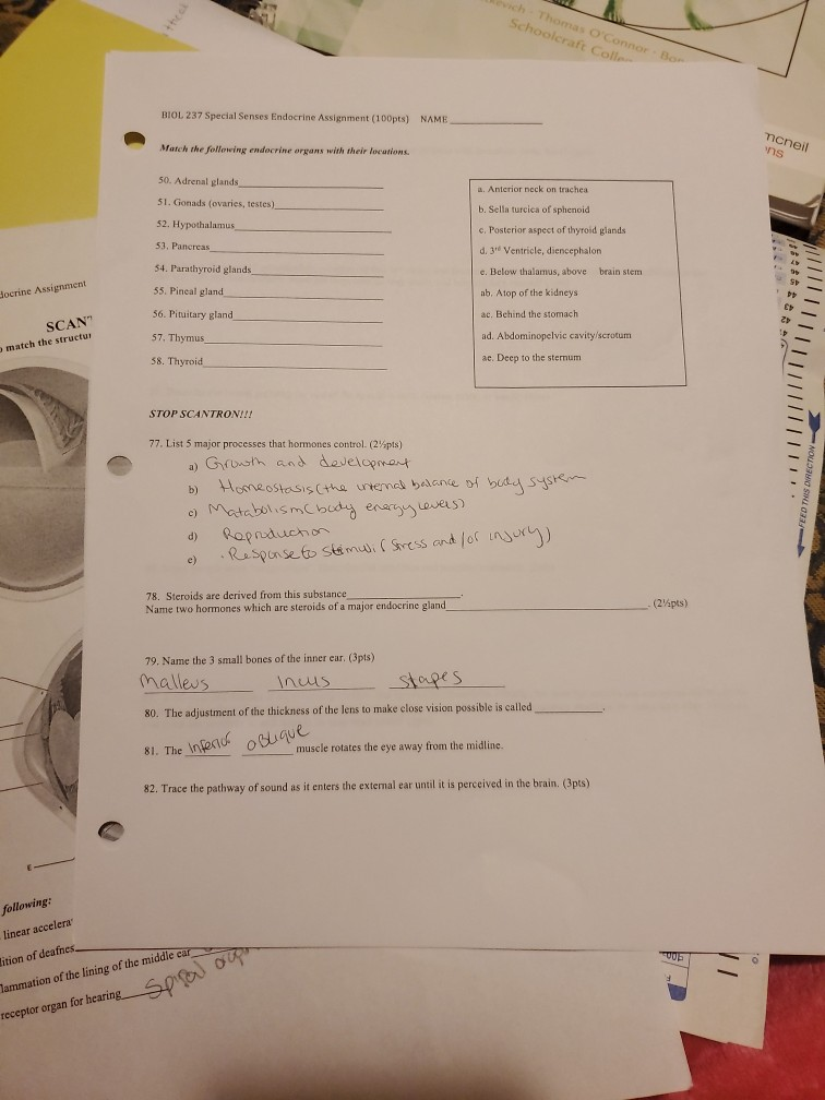 Solved V lovich Thomas O'Connor Bor Schoolcraft Collon BIOL