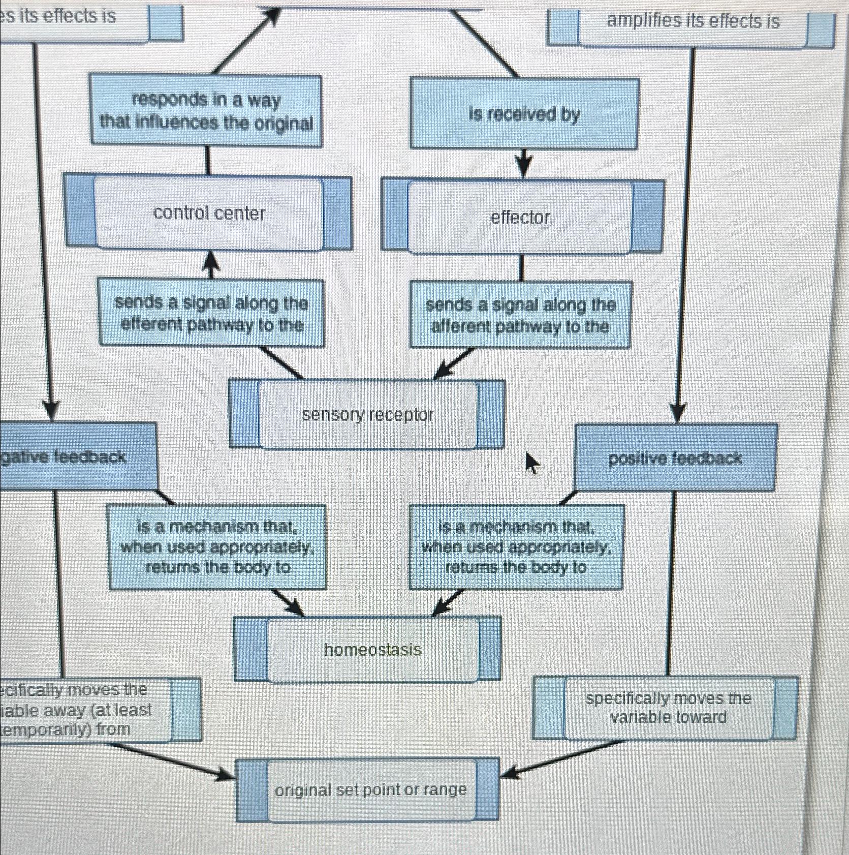 Solved Drag map to explain how positive and negative