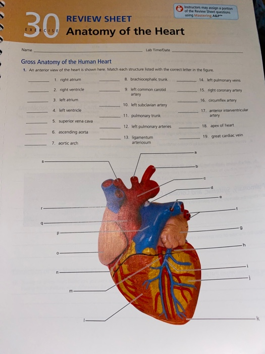 Solved Instructions May Assign A Portion Of The Review Sh Chegg Com