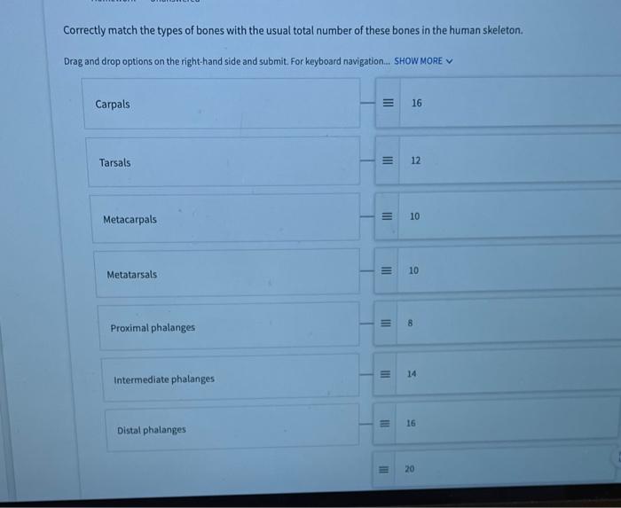 Solved Correctly Match The Types Of Bones With The Usual | Chegg.com