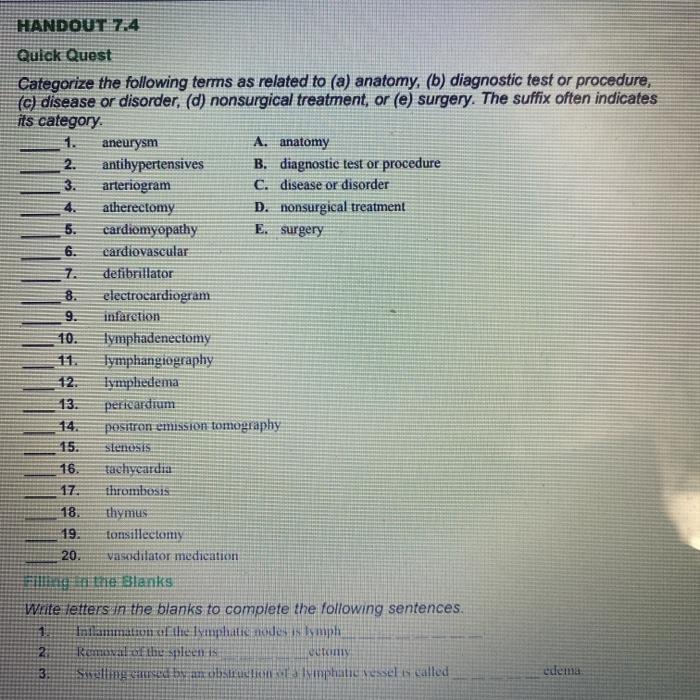 Solved HANDOUT 7.4 10. Quick Quest Categorize the following