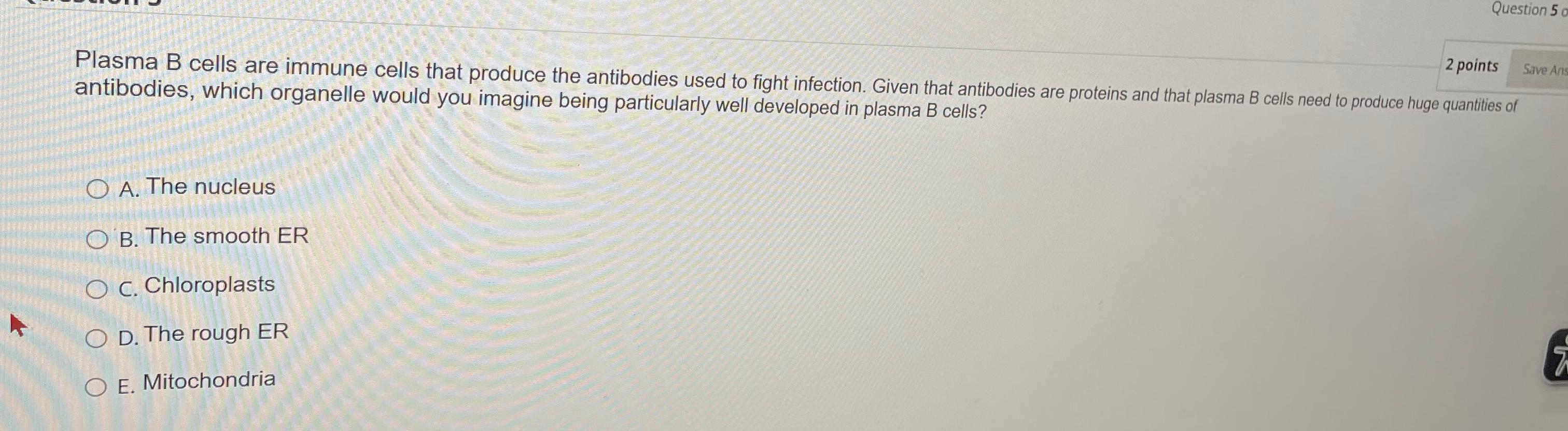 Solved Plasma B cells are immune cells that produce the | Chegg.com