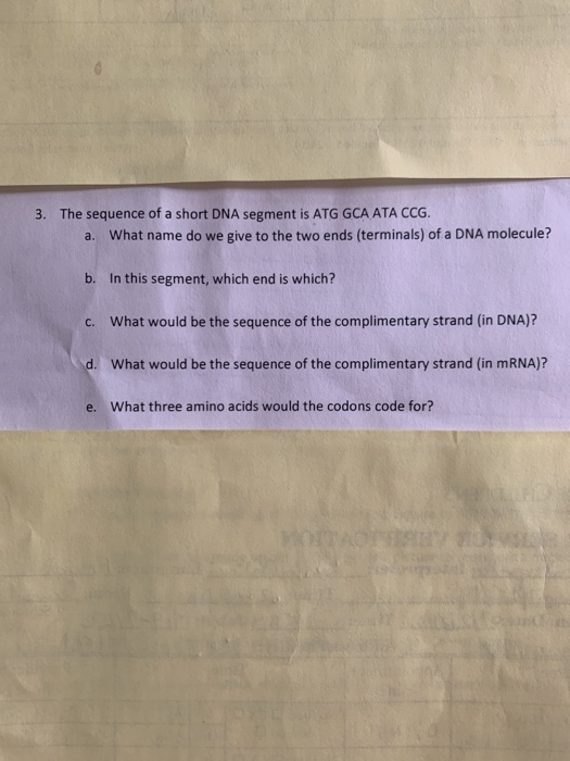 Solved 3. The sequence of a short DNA segment is ATG GCA ATA | Chegg.com