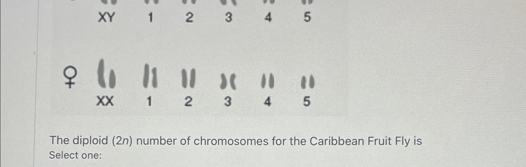 Solved 9,11,1,11,1,11,11x×,1,2,3,4,5The diploid (2n) ﻿number | Chegg.com