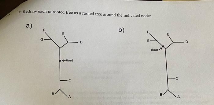 7. Redraw each unrooted tree as a rooted tree around | Chegg.com