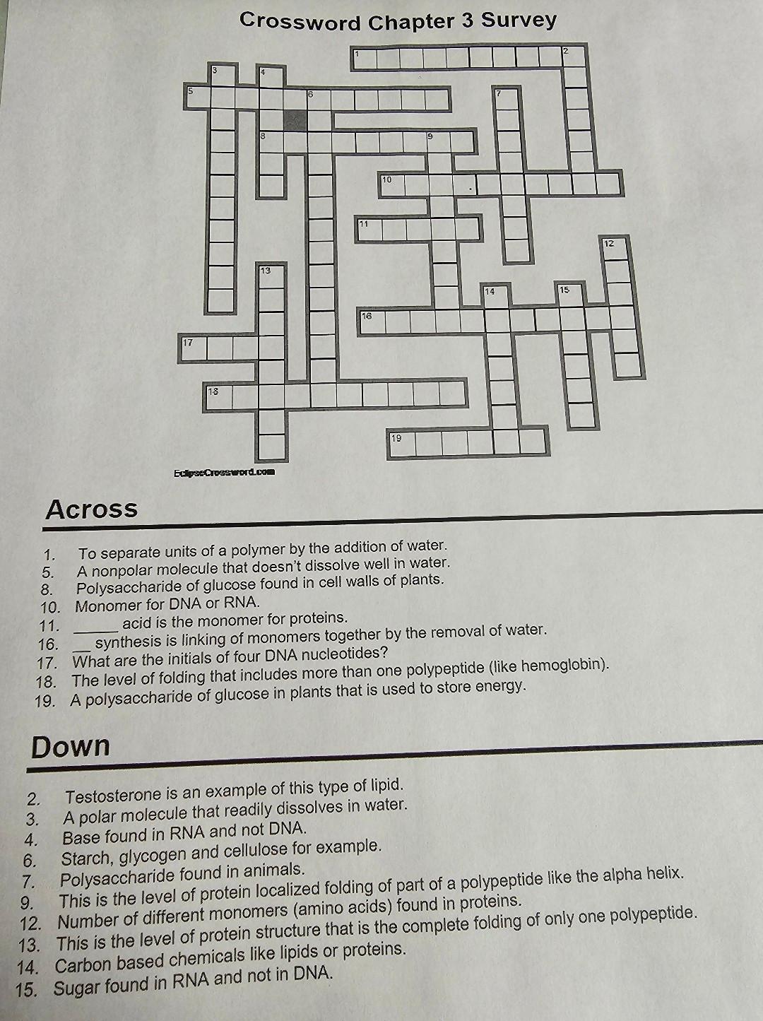 Solved Crossword Chapter 3 Survey Across 1. To separate | Chegg.com