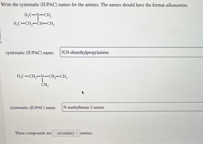 Solved Nrite The Systematic IUPAC Names For The Amines Chegg Com