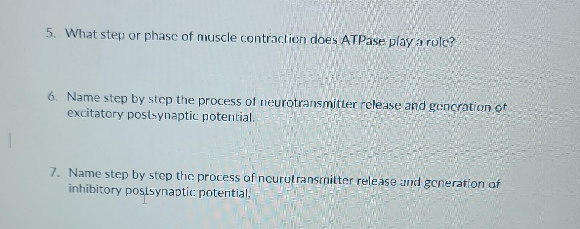 Solved 5. What step or phase of muscle contraction does | Chegg.com