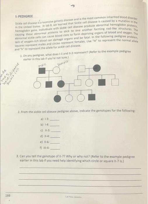 Solved 1: PEDIGREE Sickle cell disease is a recessive | Chegg.com