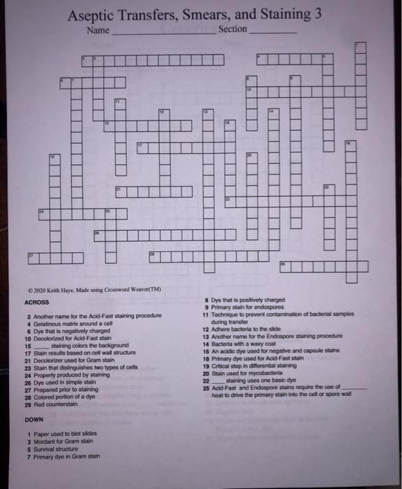 Aseptic Transfers, Smears, and Staining 3 Name