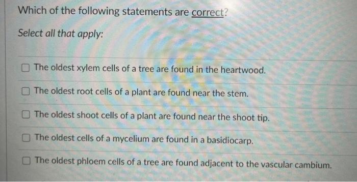 Solved Which Of The Following Statements About Plant / | Chegg.com