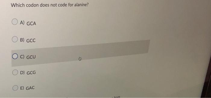 Solved Which codon does not code for alanine? A) GCA B) GCC | Chegg.com