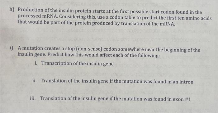 Solved H) Production Of The Insulin Protein Starts At The | Chegg.com