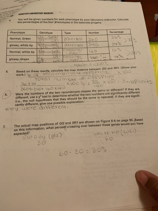 Definition of heredity image