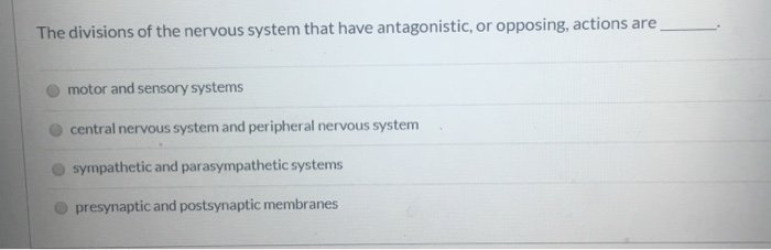 Solved The divisions of the nervous system that have | Chegg.com