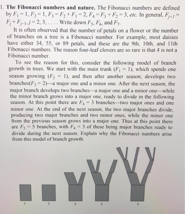 Fibonacci Sequence Explains Why Four-Leaf Clovers Are So Rare