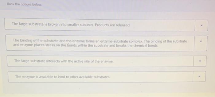 Solved Place the following steps in the correct order to | Chegg.com