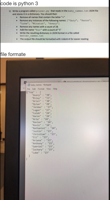 Solved code is python 3 Write a program called pruner.py | Chegg.com