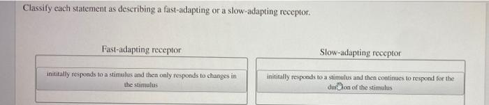 Solved Classify each statement as describing a fast-adapting | Chegg.com