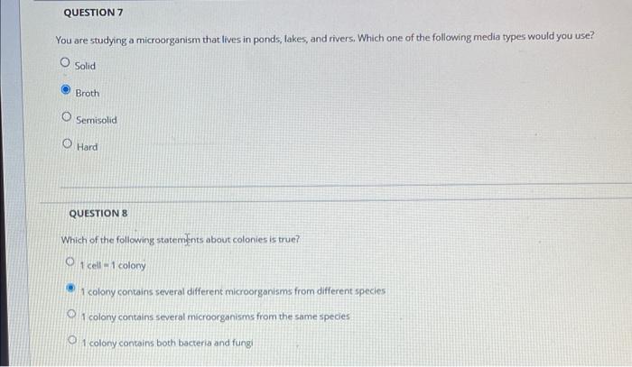 Solved You are using a microscope. You notice that the | Chegg.com