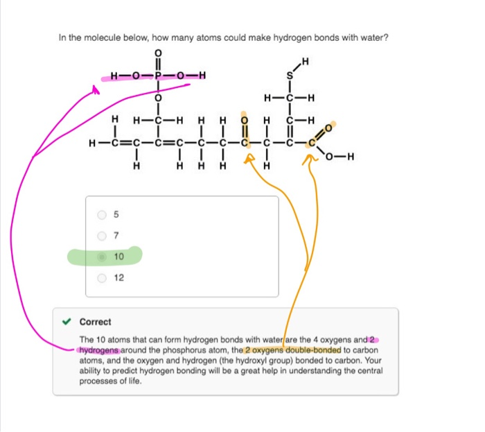 solved-in-the-molecule-below-how-many-atoms-could-make-chegg