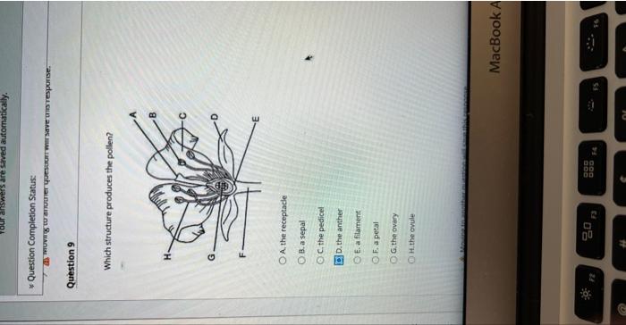 Solved answer these please i will def give a thumbs up. i | Chegg.com
