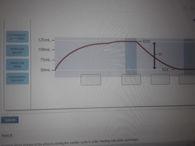 Solved Isovolumetric Contraction 125ml - EDV Ventricular | Chegg.com