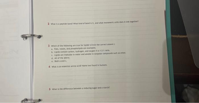 2. What is a peptide bondt What kind of bond is it, and what menameric units does it tink together?
3 Which of the followhy a