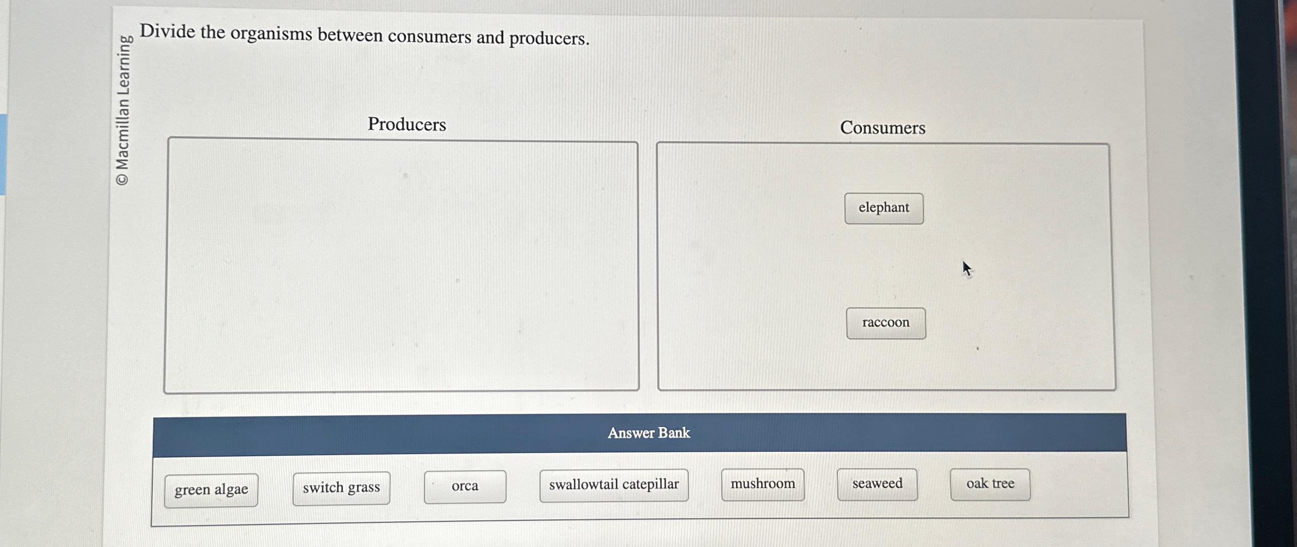 Solved Divide the organisms between consumers and | Chegg.com
