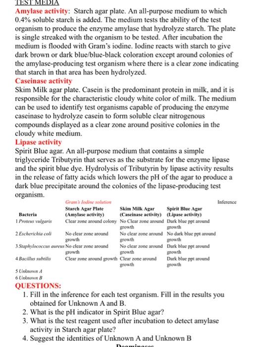 TEST MEDIA Amylase activity Starch agar plate. An