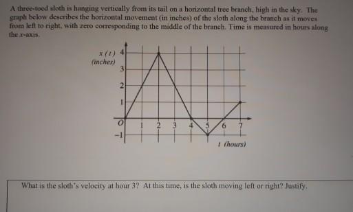 Solved A three-toed sloth is hanging vertically from its | Chegg.com