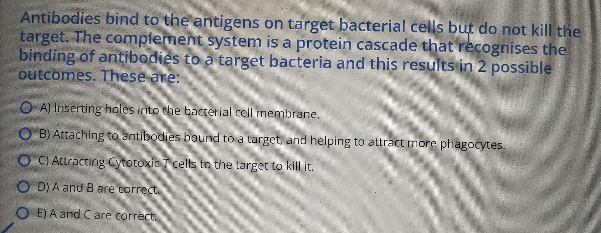 Solved Antibodies bind to the antigens on target bacterial